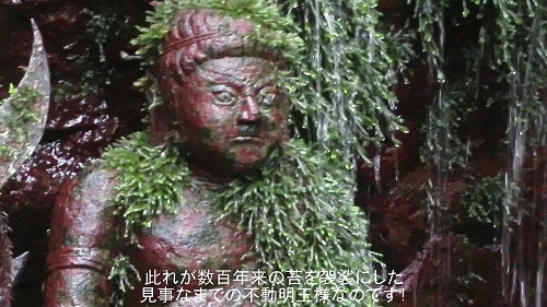 頭無不動
