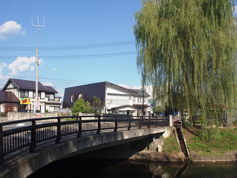 涙の桟橋