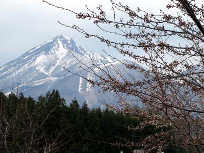 桜と会津磐梯山